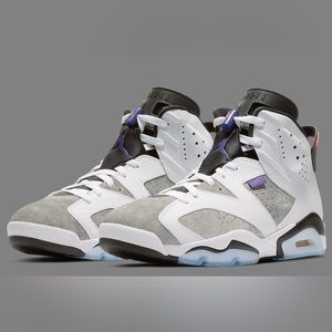 Jordan 6 sneakers gray Flint Grey